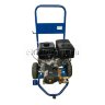 Бензиновый аппарат высокого давления Чистоком FDX AR 15/250 (250 бар) Annovi Reverberi