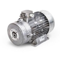 Электродвигатель Mazzoni 11 кВт + термик (45 мм)